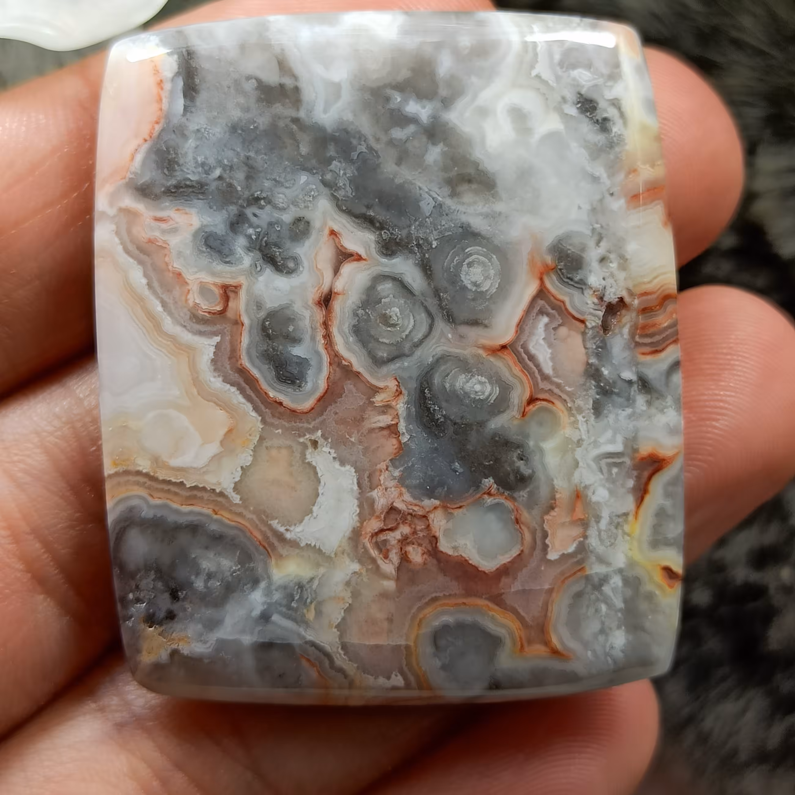 جاسپر کریزی لیس کلکسیونی کد 45