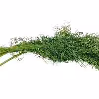 شوید  500  گرمی   KFC