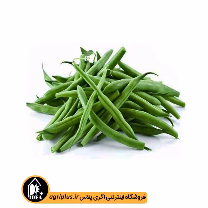 بذر لوبیا سبز بسته بندی خانگی