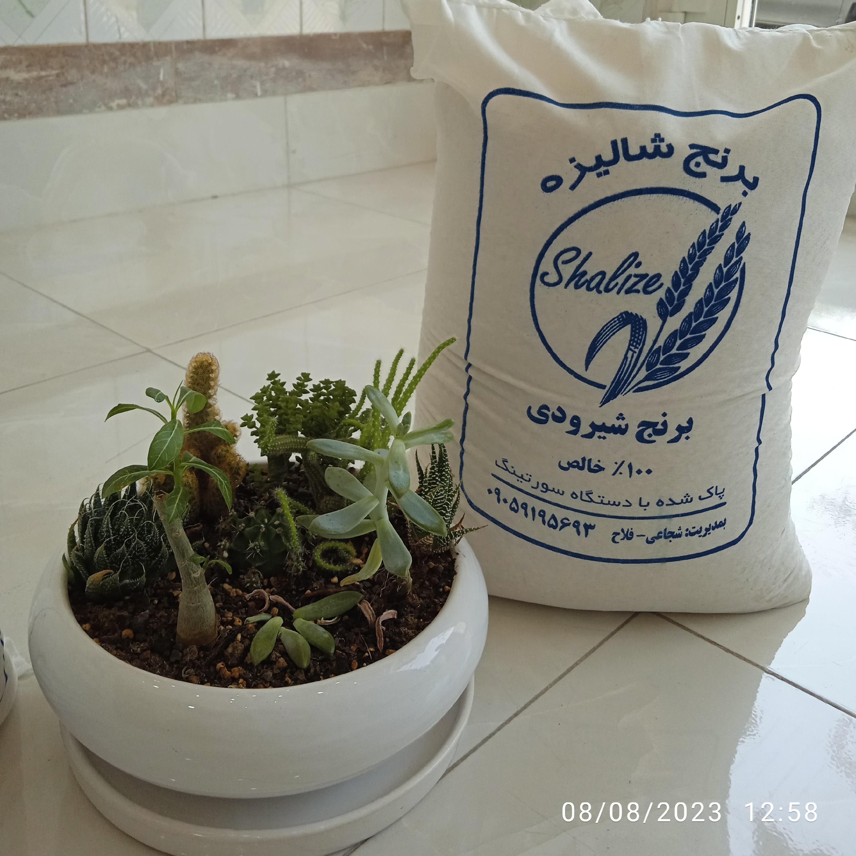 برنج شیرودی درجه یک گیلان10kg