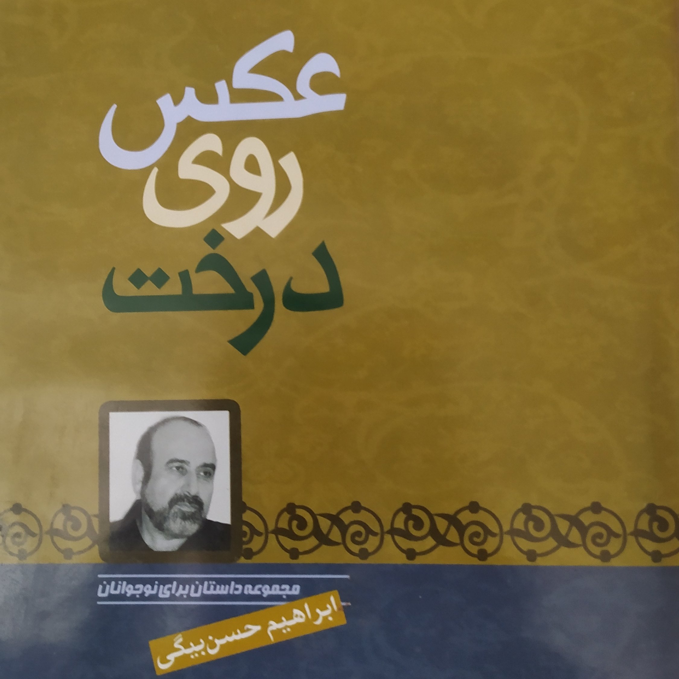 کتاب داستان عکس روی درخت مجموعه داستان
