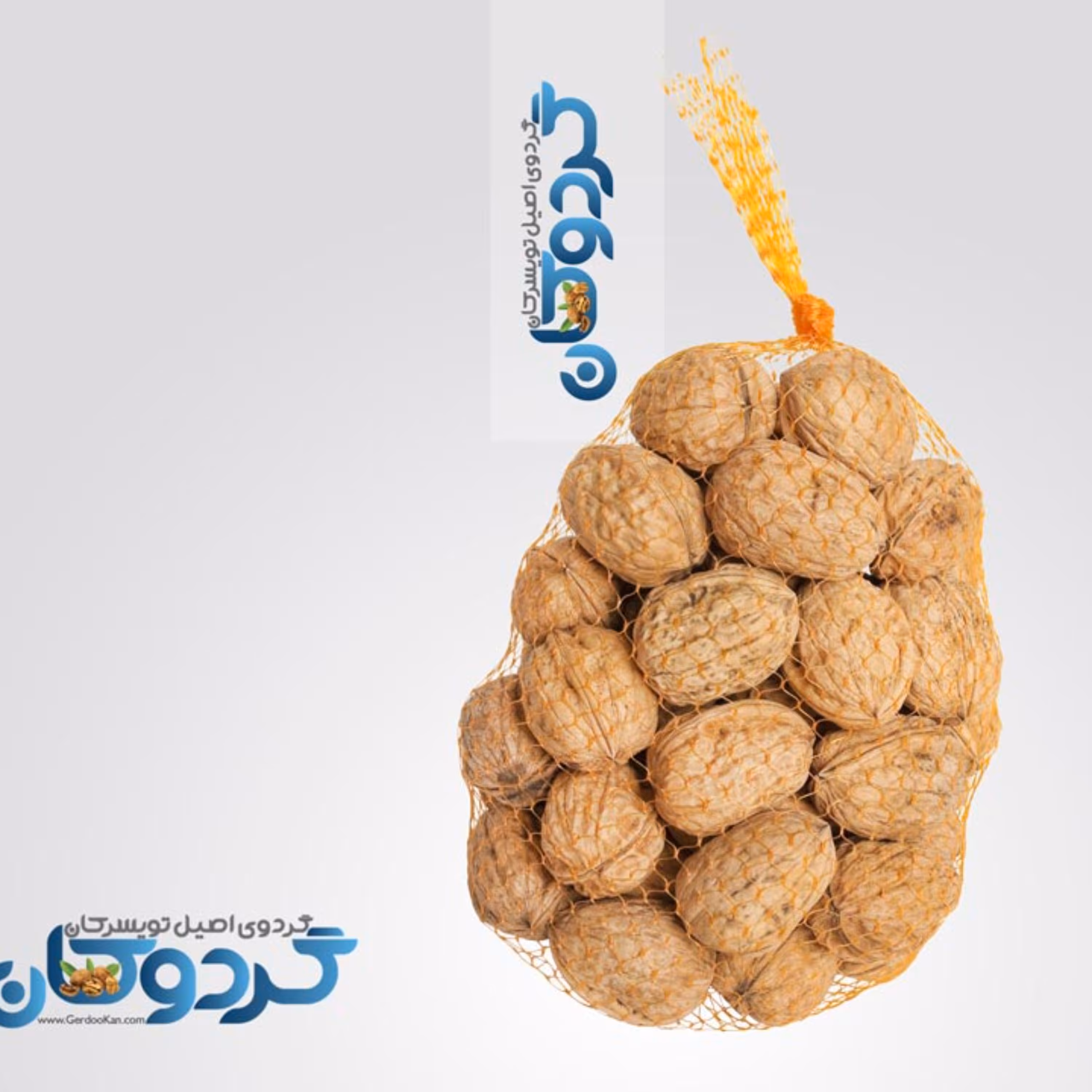 گردوی تک درخت تویسرکان - 5 کیلو