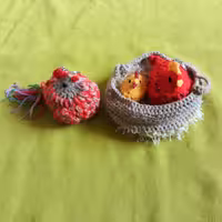 مرغ و خروس و جوجه بافتنی با لانه