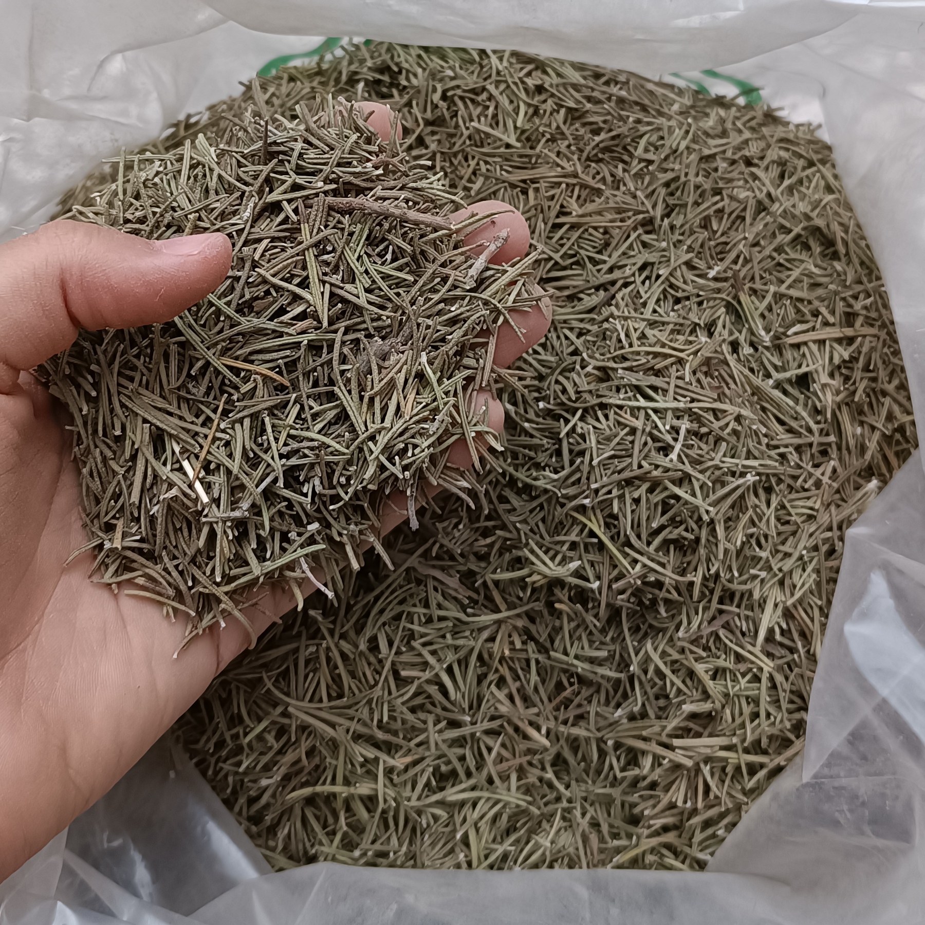 رزماری اعلا