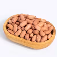 بادام زمینی خام ایرانی تبرک مغان درجه یک ( سایز درشت مغز ) امسالی 10 کیلویی 1