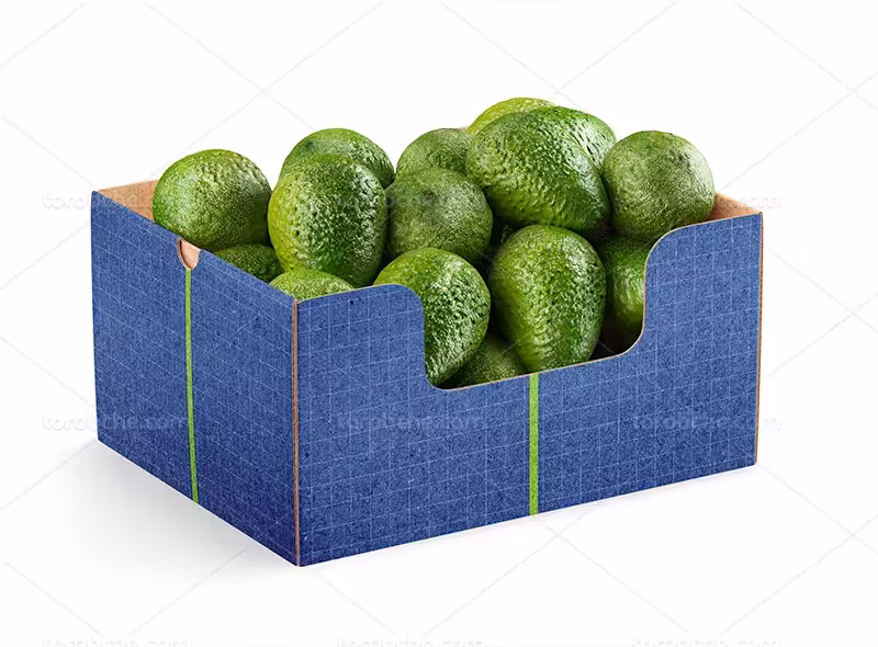 موکاپ جعبه میوه لایه باز | گرافیک با طعم تربچه