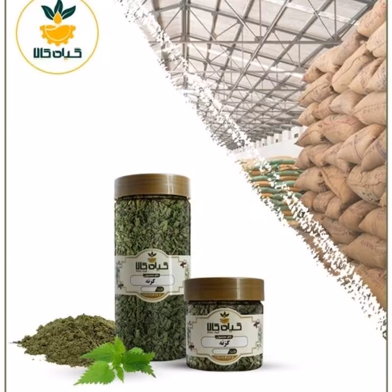 گیاه گزنه با کیفیت عالی، بار امسالی و تازه(65گرمی )
