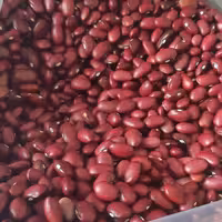 لوبیا قرمز دستچین شده 500گرم چاشنی خاتون