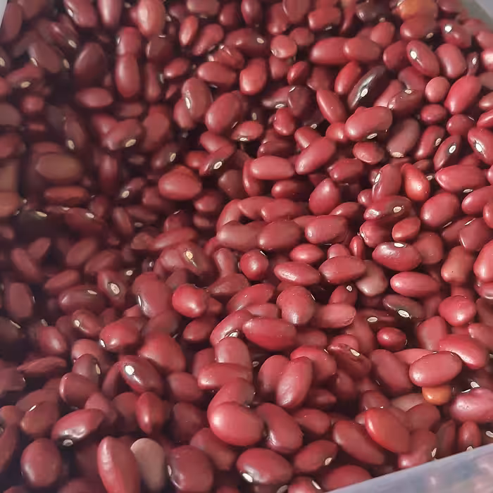 لوبیا قرمز دستچین شده 500گرم چاشنی خاتون