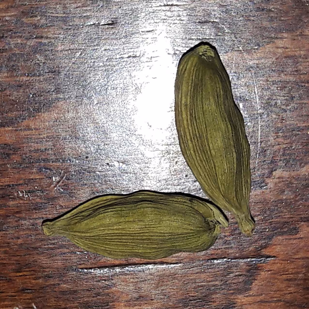 هل امپراطور اکبر10گرم.