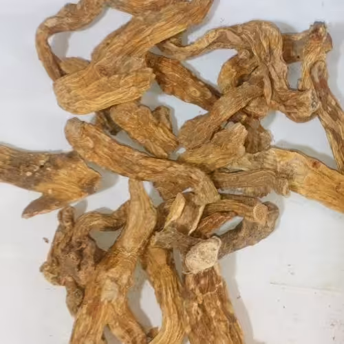 ریشه شقاقل اعلا  (جنسینگ ایرانی)