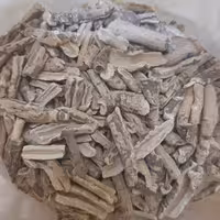 تربید سفید (تربد) نیم کیلویی