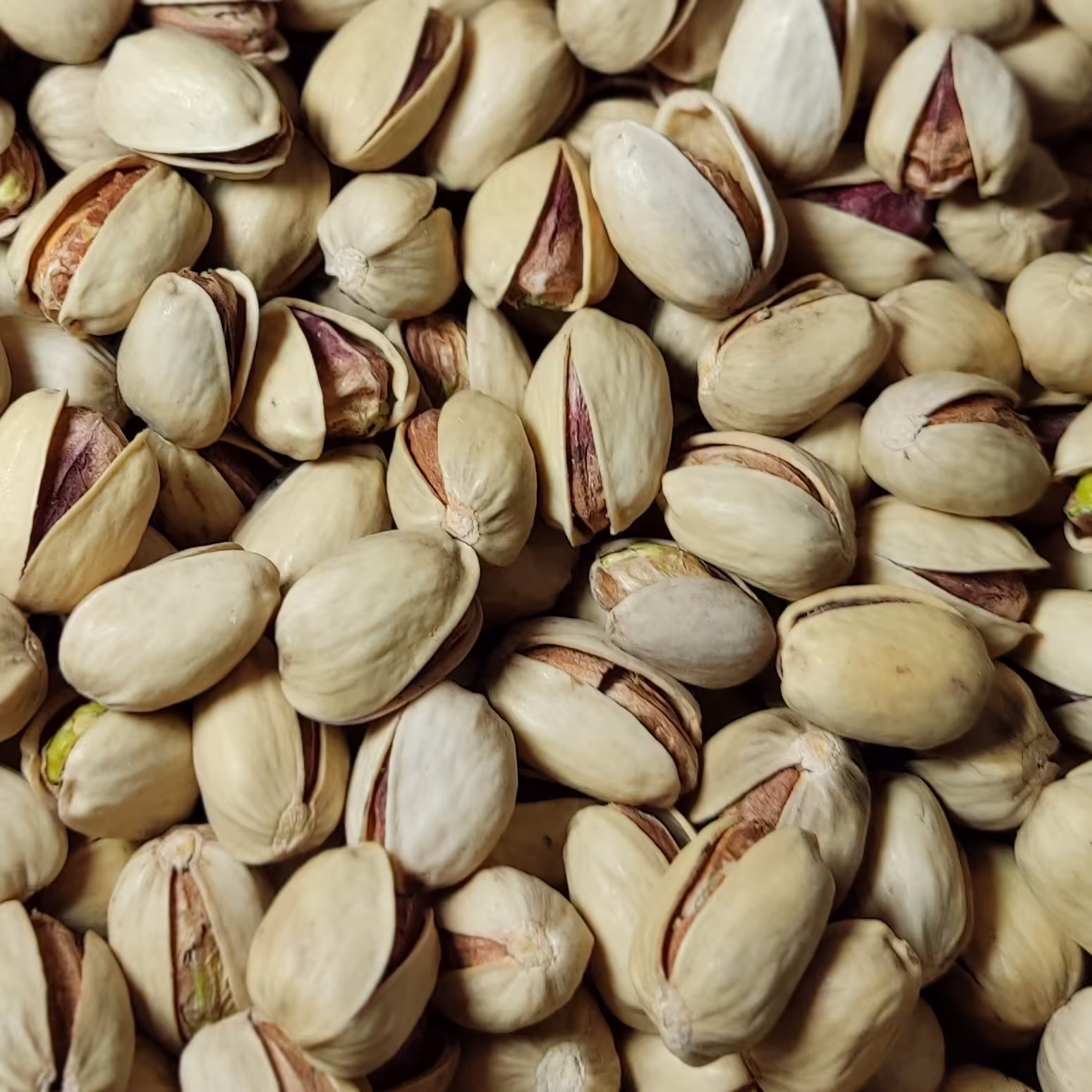 پسته خام کله قوچی دستچین تمام خندان برداشت مهر1403  2کیلوگرم