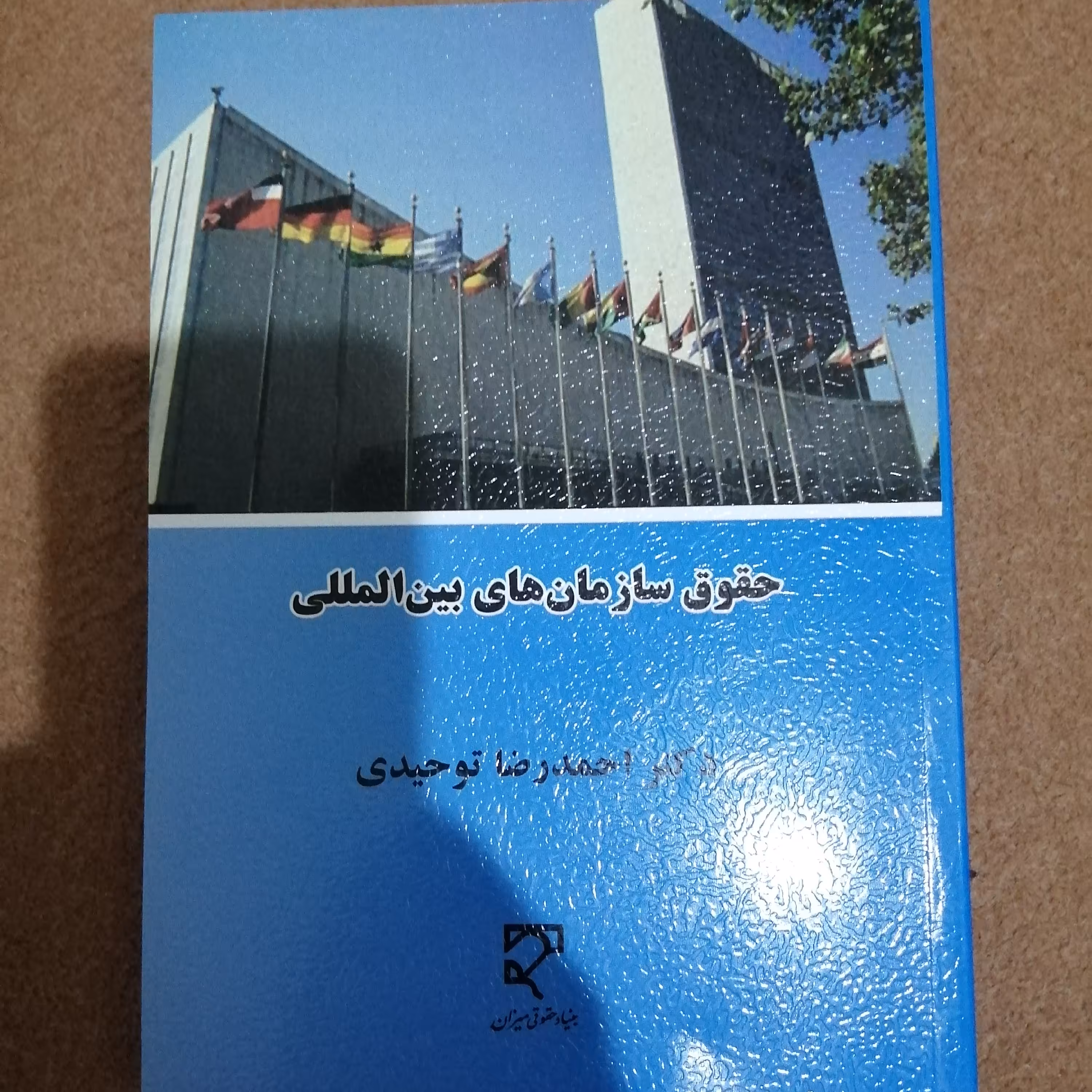 کتاب حقوق سازمان های بین المللی 