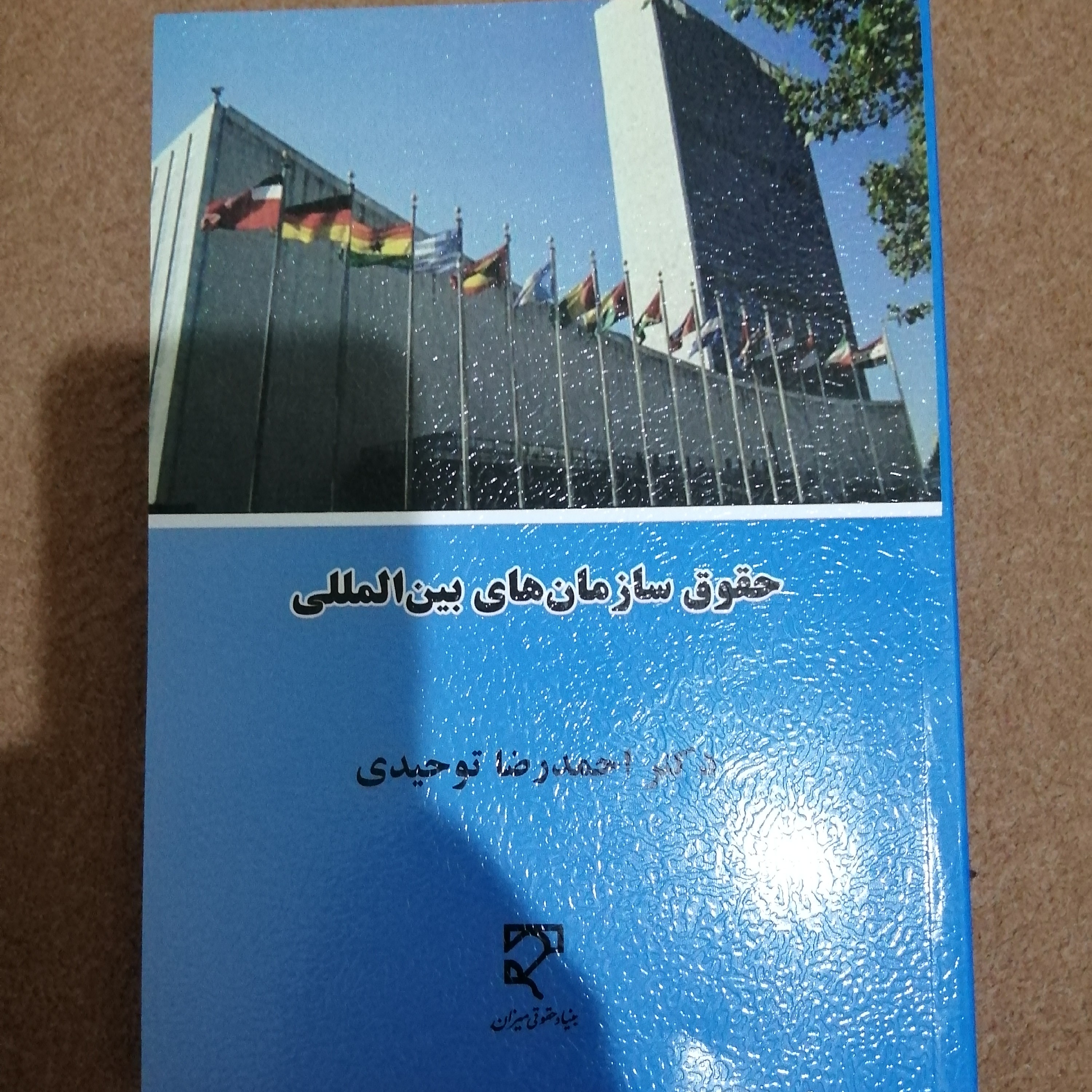 کتاب حقوق سازمان های بین المللی