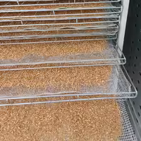 جوانه گندم خشک شده 10 کیلویی (گندم جوانه زده) (جهت طبخ سمنو یا استفاده در سوهان پزی) باربری پس کرایه