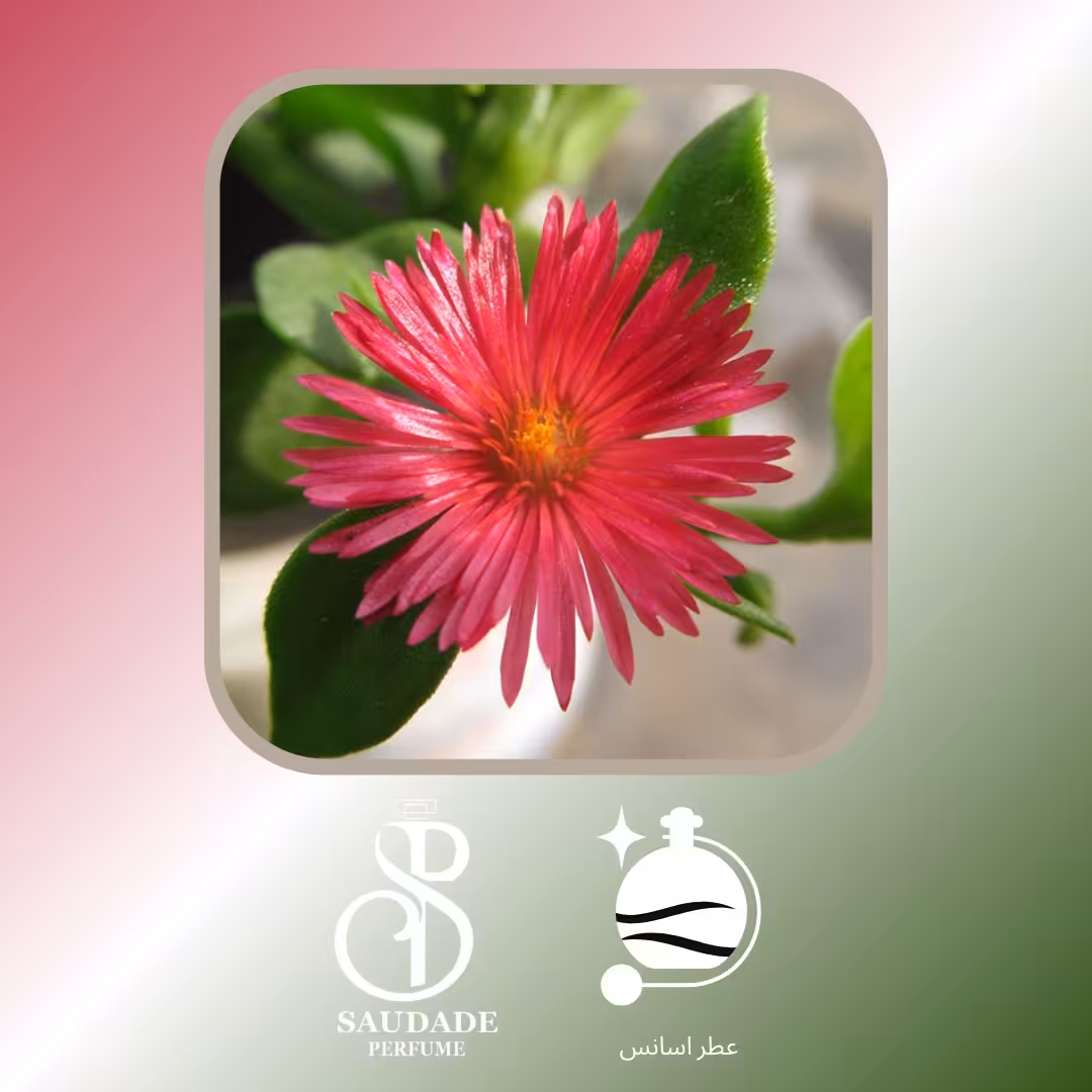 عطر گل یخ جیوادان سوئیس - 5 میل اسپری(لطفا قبل از خرید قسمت توضیحات مطالعه گردد).
