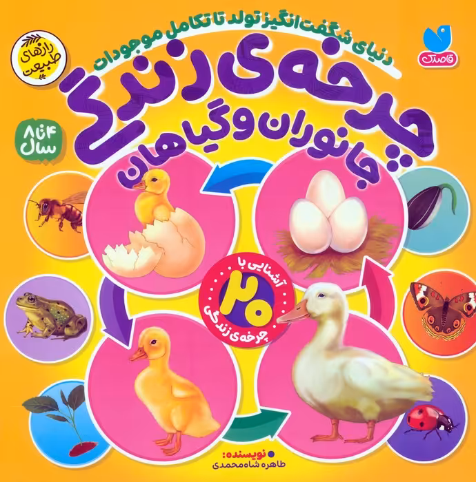 چرخه ی زندگی جانوران و گیاهان (دنیای شگفت انگیز تولد تا تکامل موجودات)