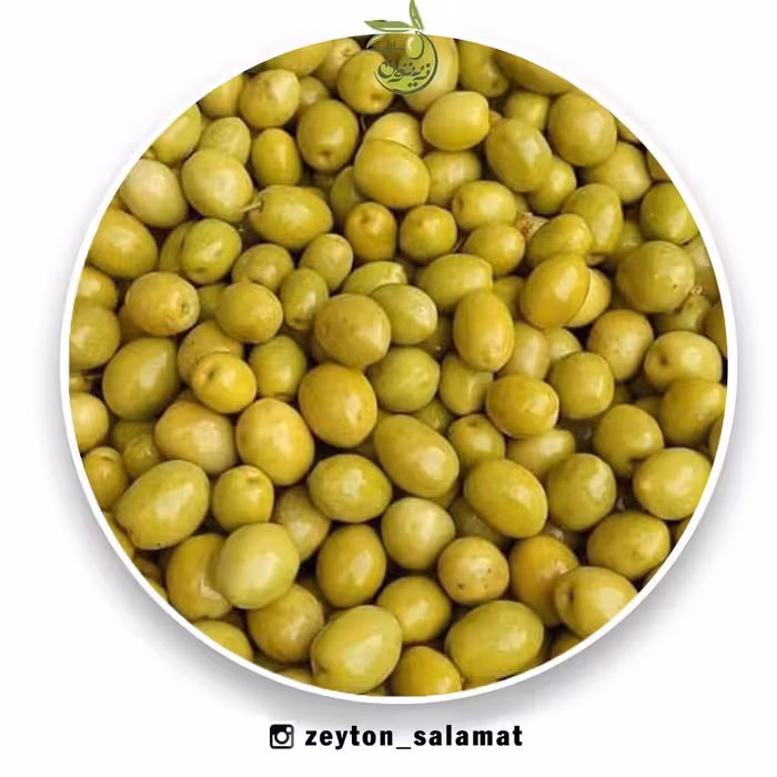 زیتون شور خوش طعم  2 و نیم کیلویی