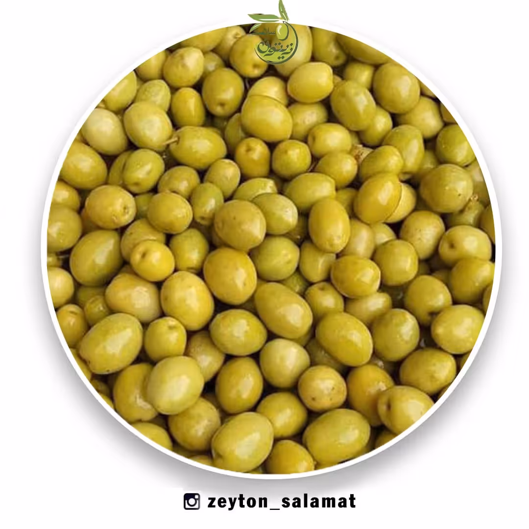 زیتون شور خوش طعم  2 و نیم کیلویی