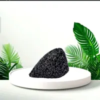 سنگ پا