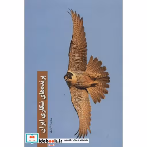کتاب پرنده های شکاری ایران (گلاسه) اثر پرویز بختیاری