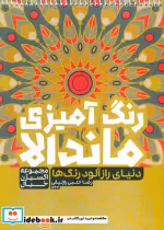 قیمت و خرید کتاب رنگ آمیزی ماندالا دنیای رازآلود رنگ ها | ایده بوک