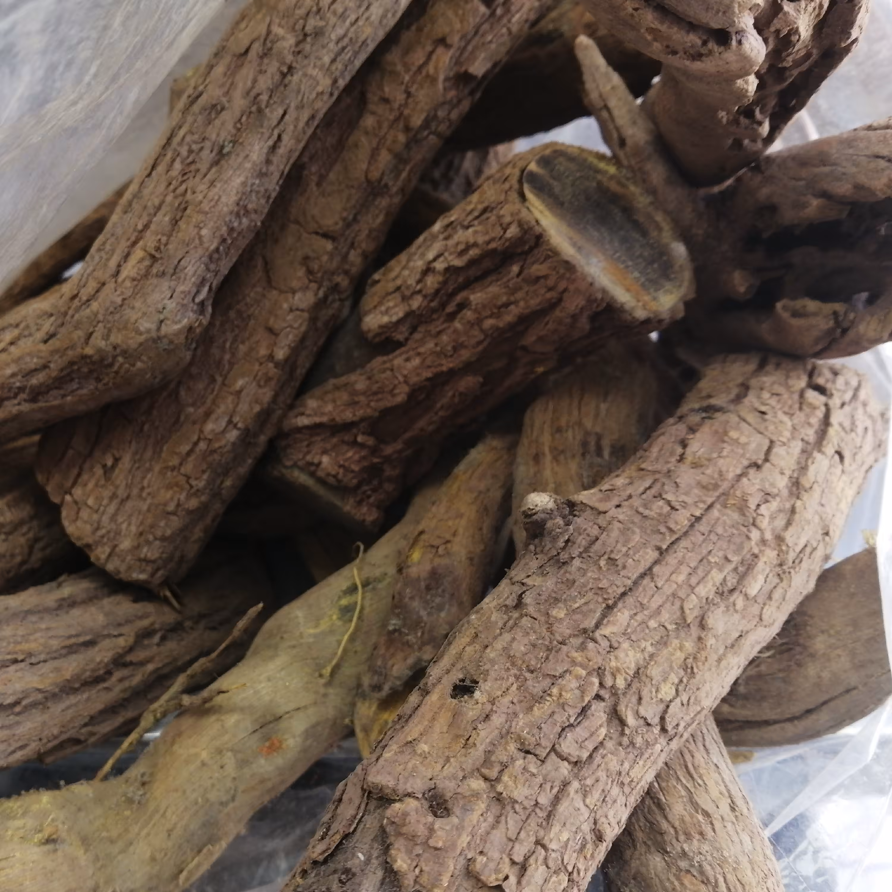 ریشه زرک 75 گرم