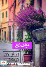 قیمت و خرید کتاب لبخند نیمه شب اثر مژگان زارع | ایده بوک