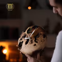 ساعت دیواری اَختر