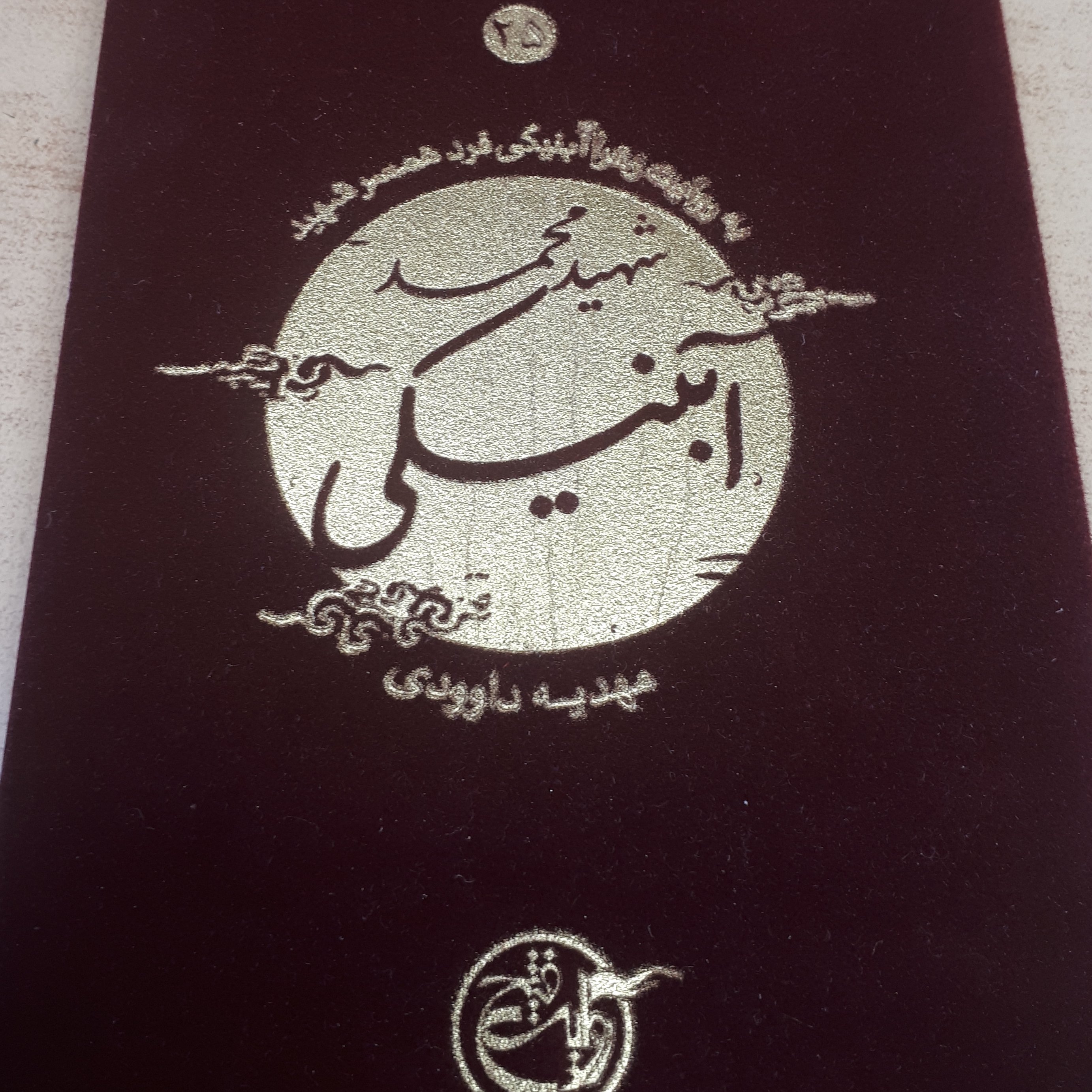 نیمه پنهان ماه جلد 25