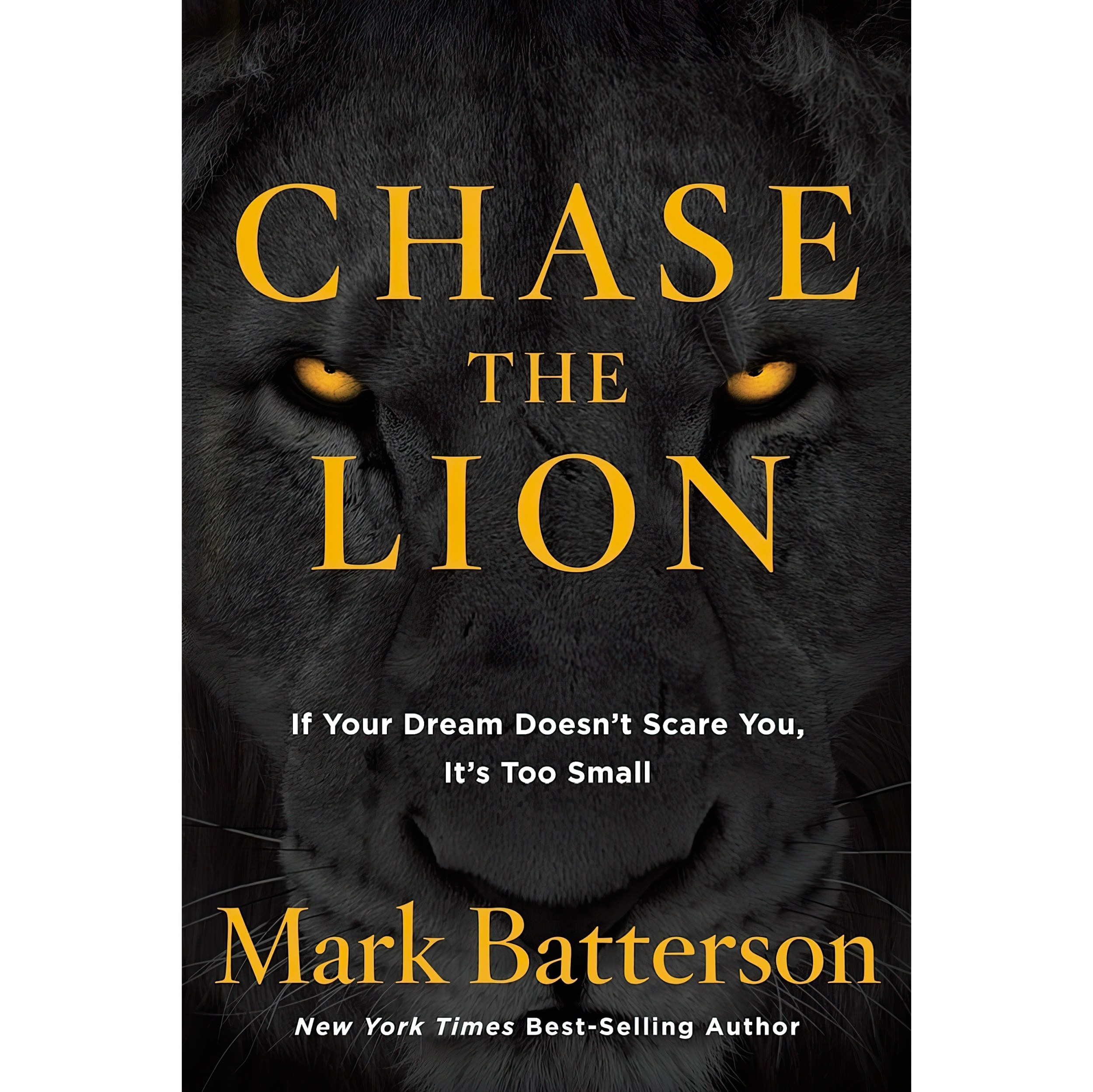 کتاب زبان اصلی Chase the Lion اثر Mark Batterson and Mark Batterson