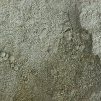 ادمیه قرمه سبزی