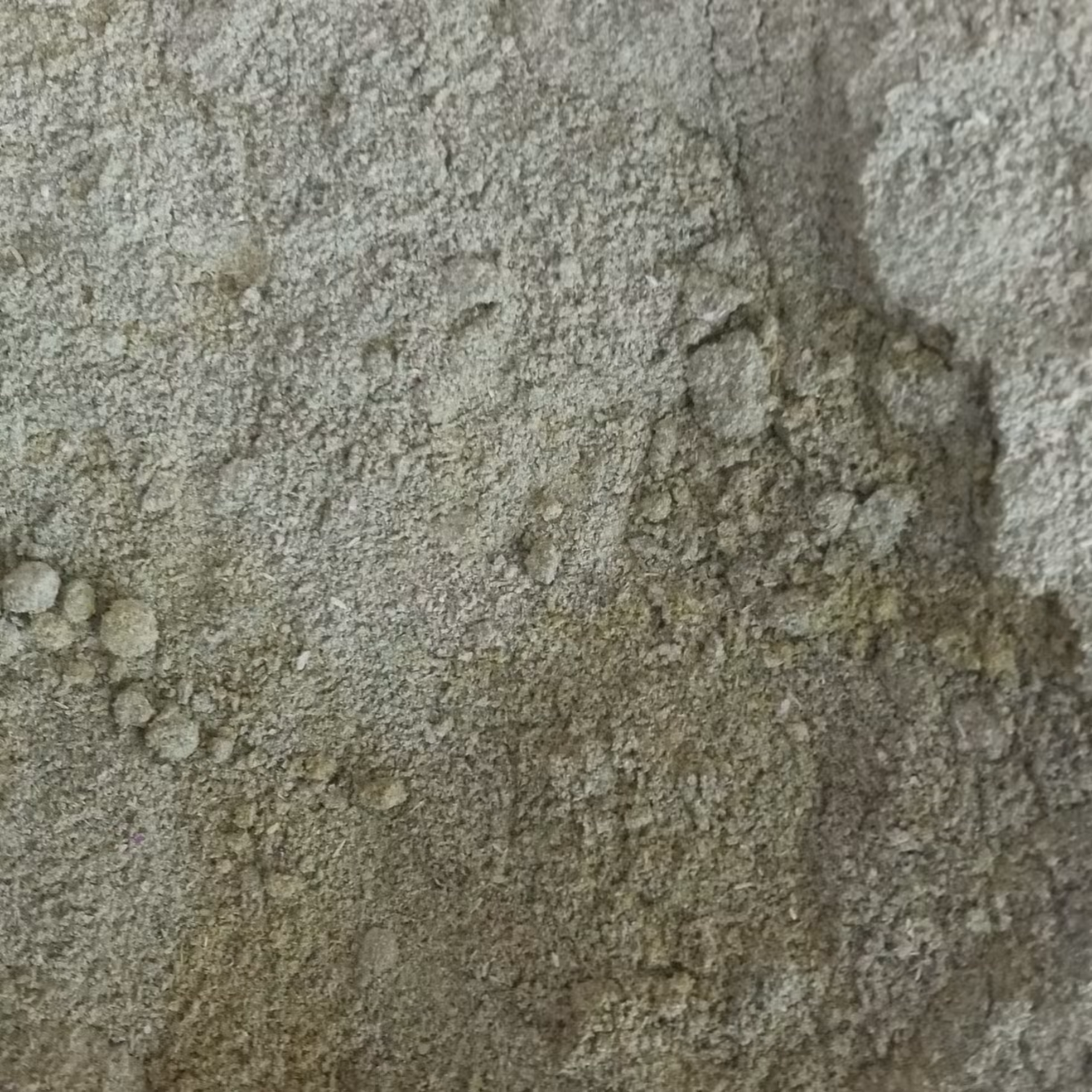 ادمیه قرمه سبزی