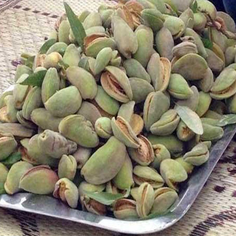 بادام درختی تازه محلی ملایر با پوست سبز 5 کیلوگرم پرمغز و شیرین