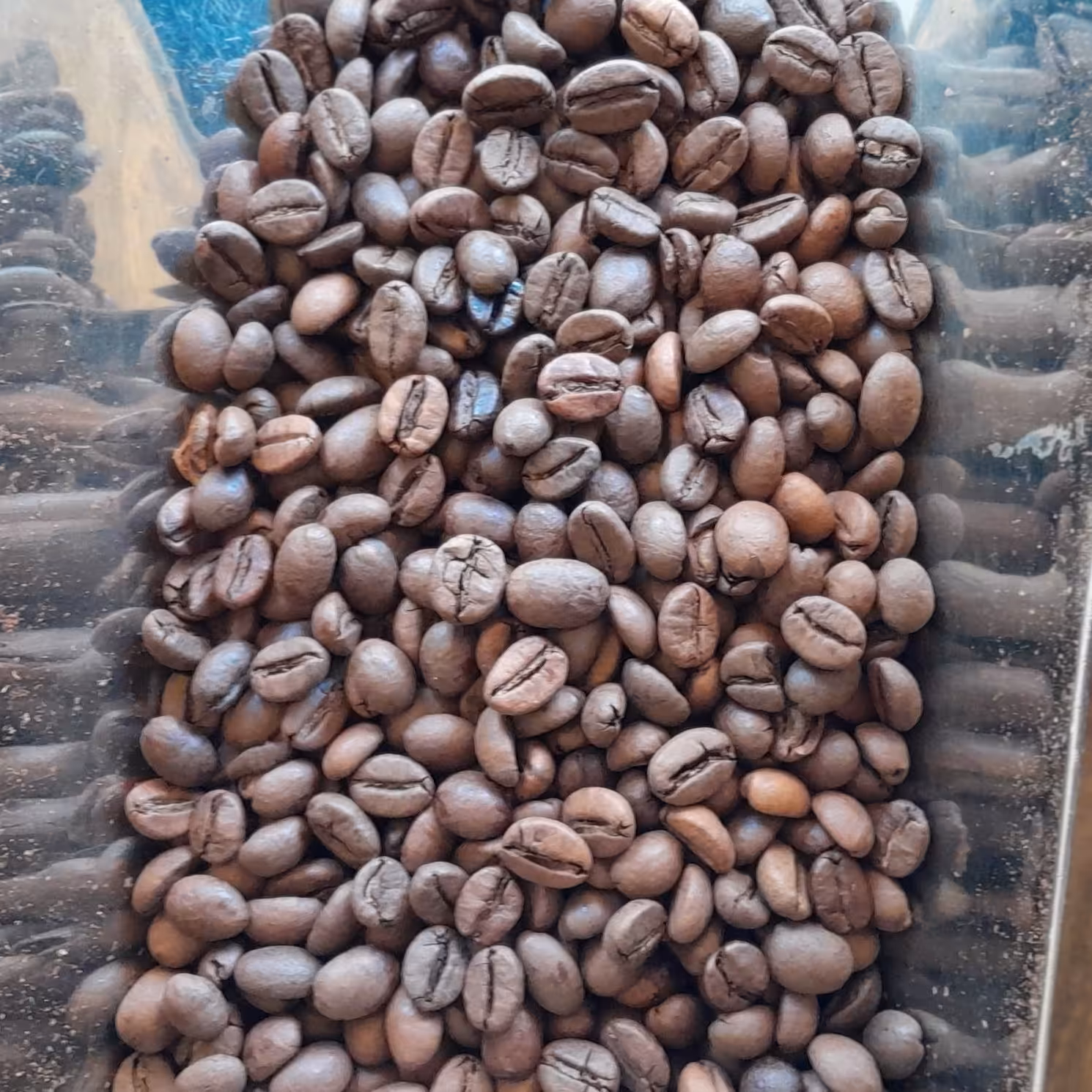 دان قهوه ربوستا ویتنام  شکلاتی