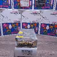 پاور سویچینگ