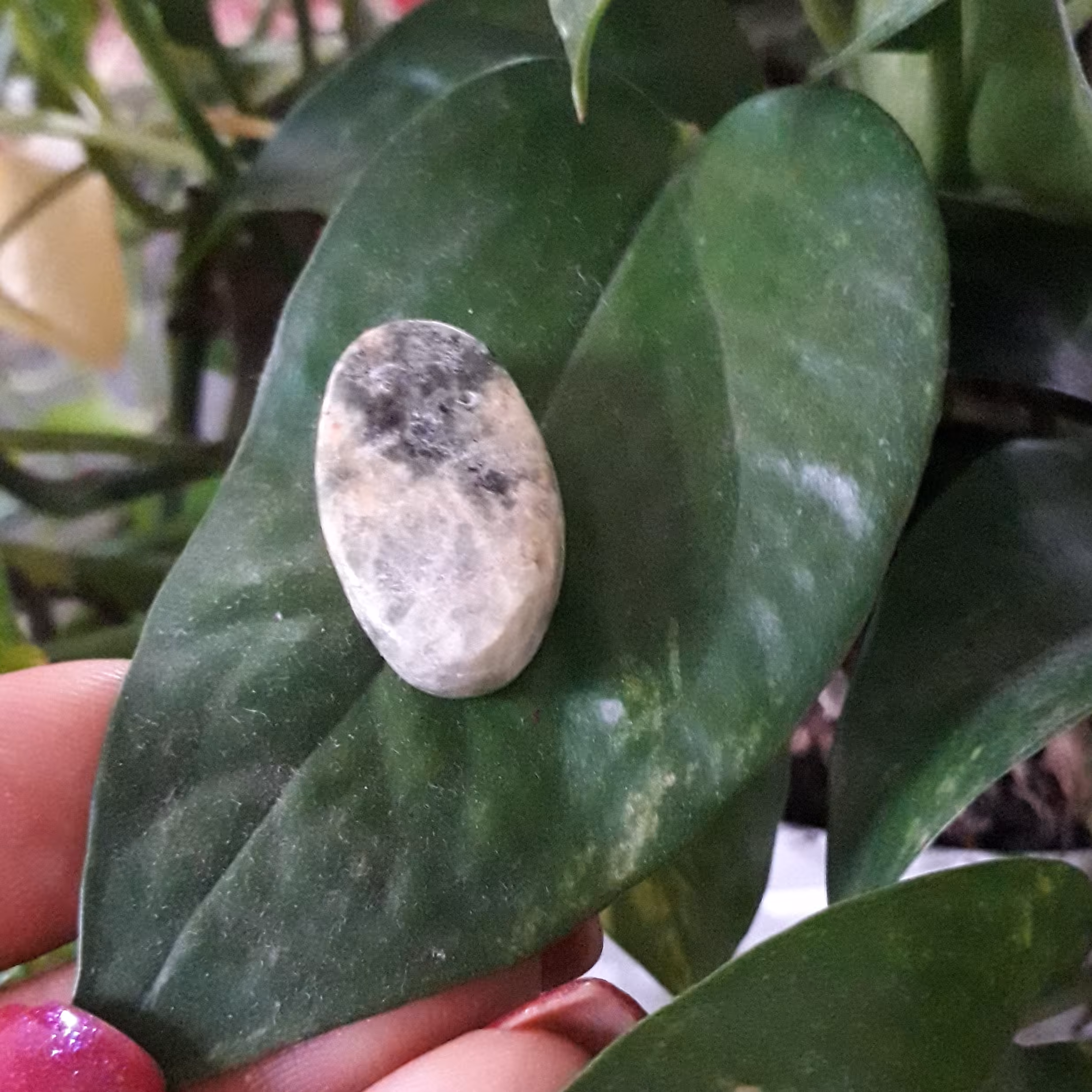 نگین سنگ یشم معدنی 