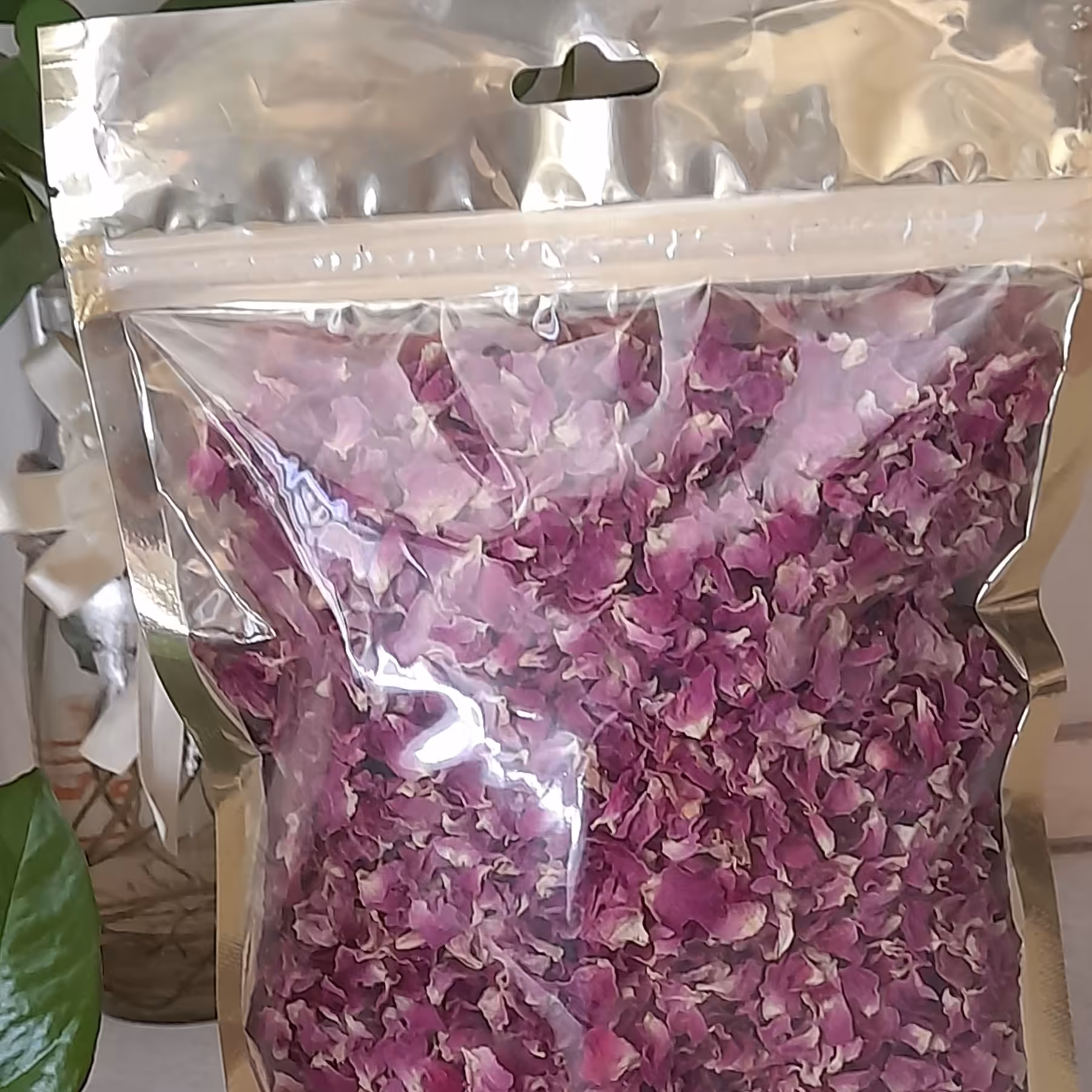 پرگل محمدی کاشان