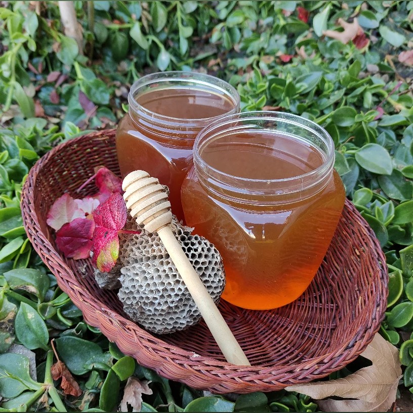 عسل گون (( 1000 گرم )) طبیعی و اصل + نامه آزمایش و ضمانت نامه