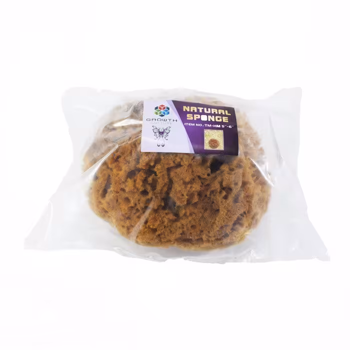 اسفنج دریایی طبیعی (هنری) TM-HM