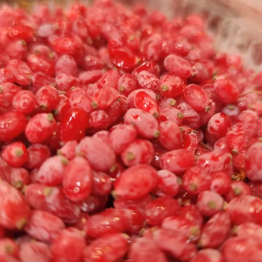 زرشک تازه منجمد قرمز 1کیلوگرم