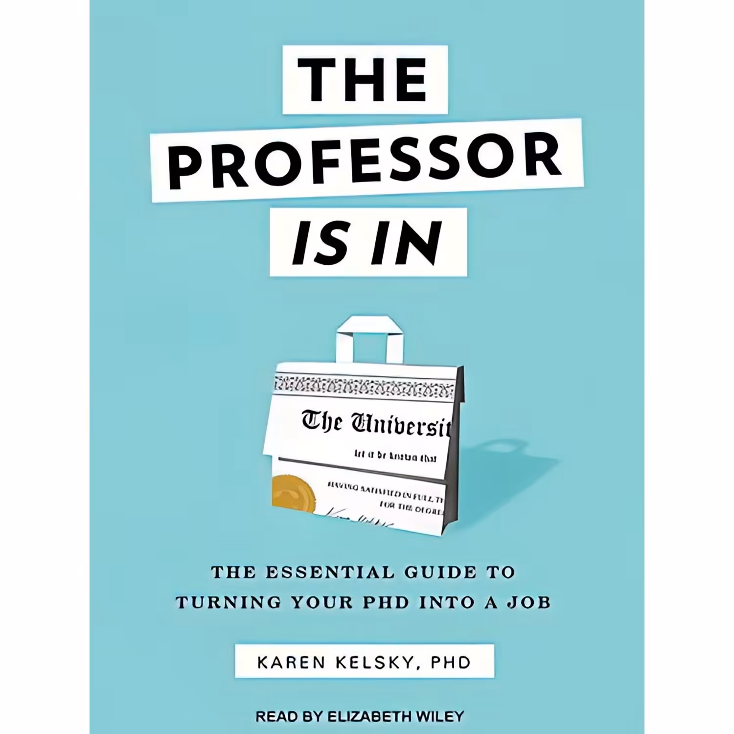 کتاب زبان اصلی The Professor Is In اثر Karen KelskyElizabeth Wiley