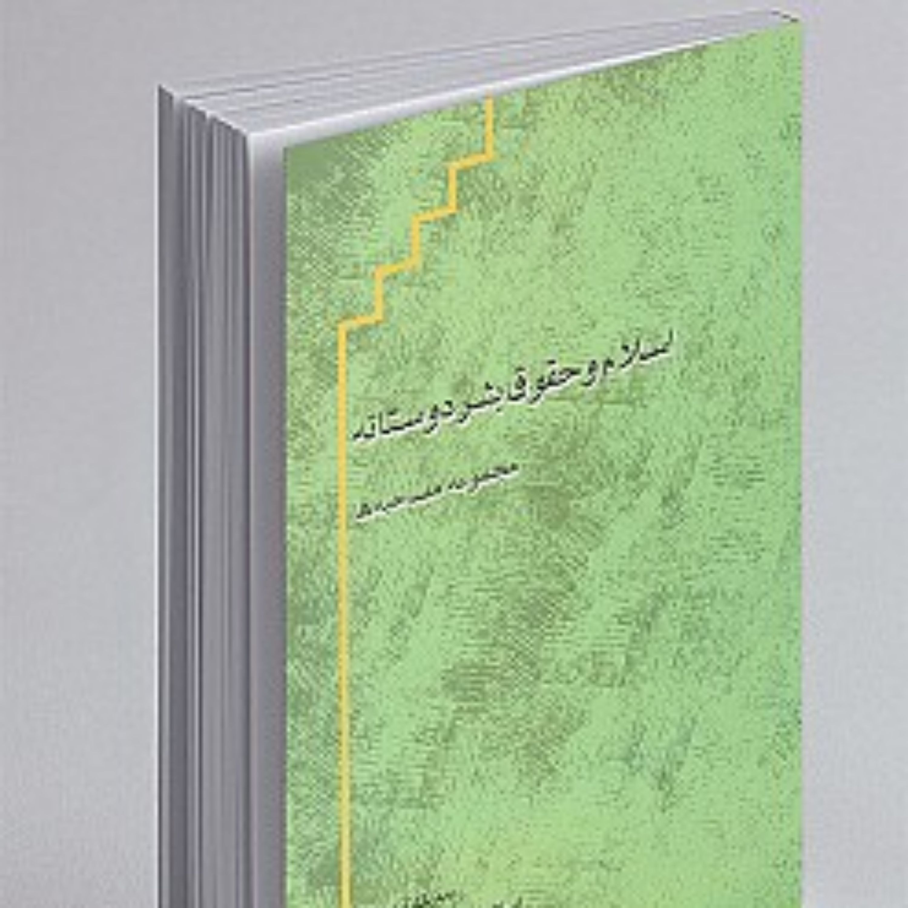 کتاب اسلام و حقوق بشر دوستانه نشر پژوهشگاه علوم و فرهنگ اسلامی