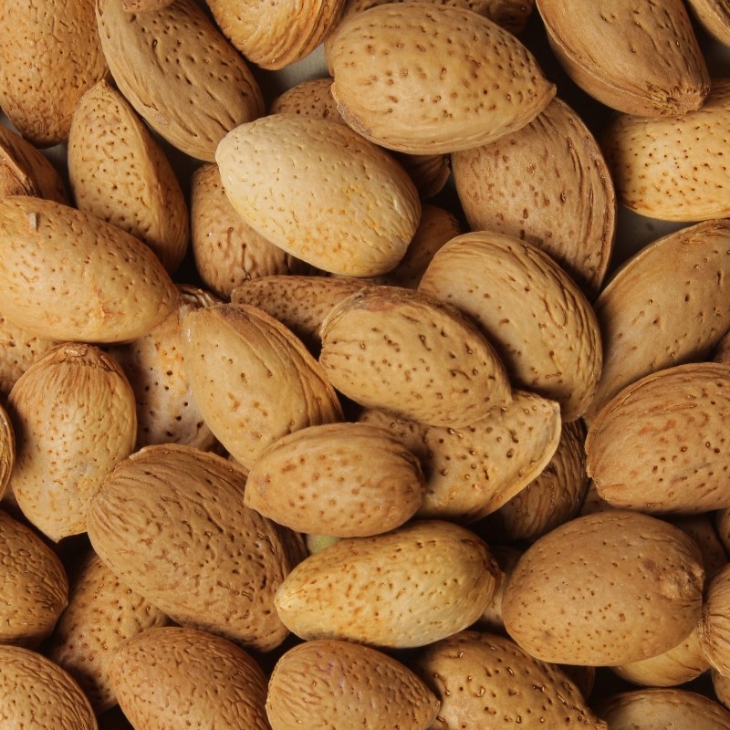 بادام سنگی( بادام درختی با پوست) یکدست مغز شیرین کیفیت عالی 500 گرمی آجیل و خشکبار شفیعی