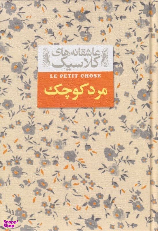 مرد کوچک
