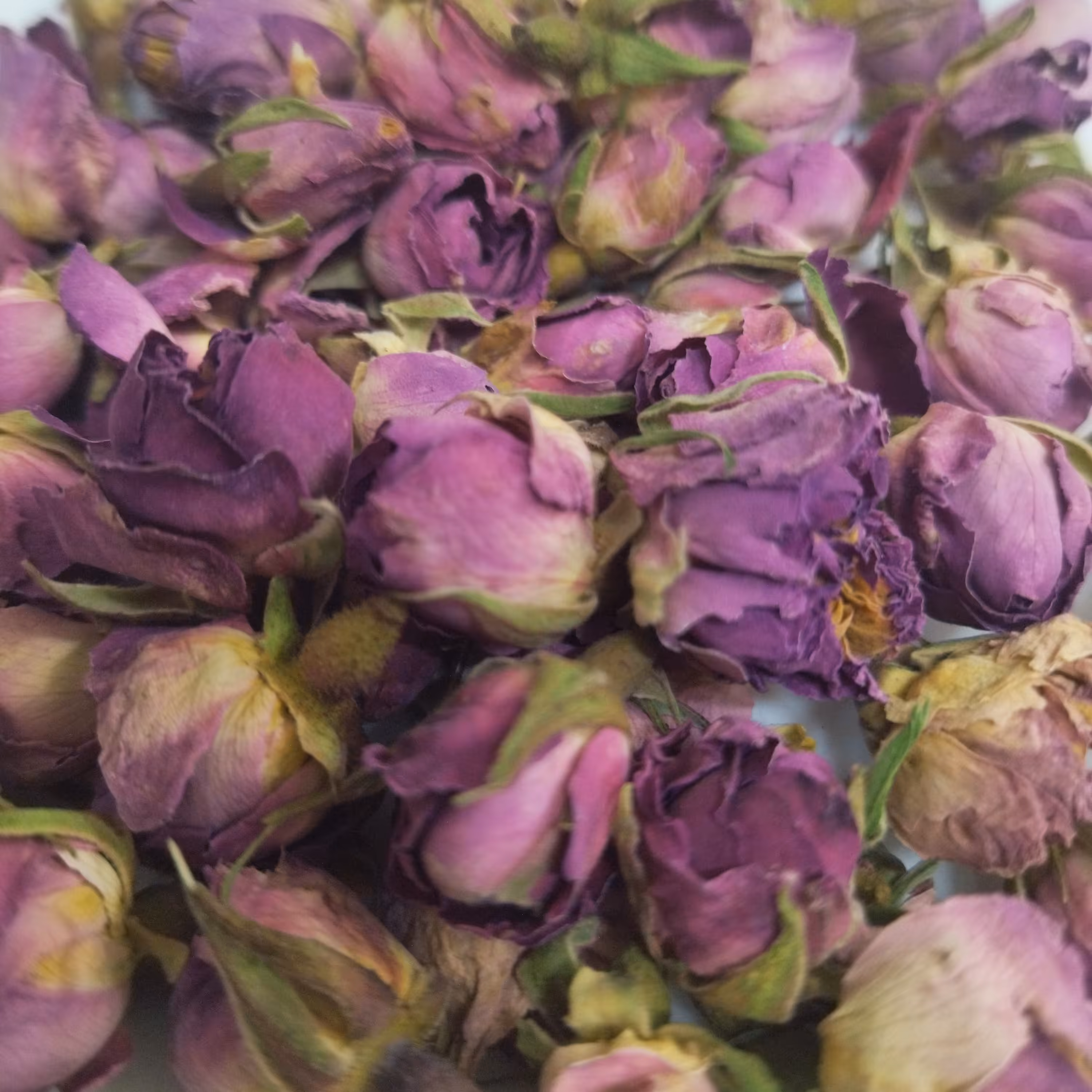 گل محمدی لاله زار  صادراتی 