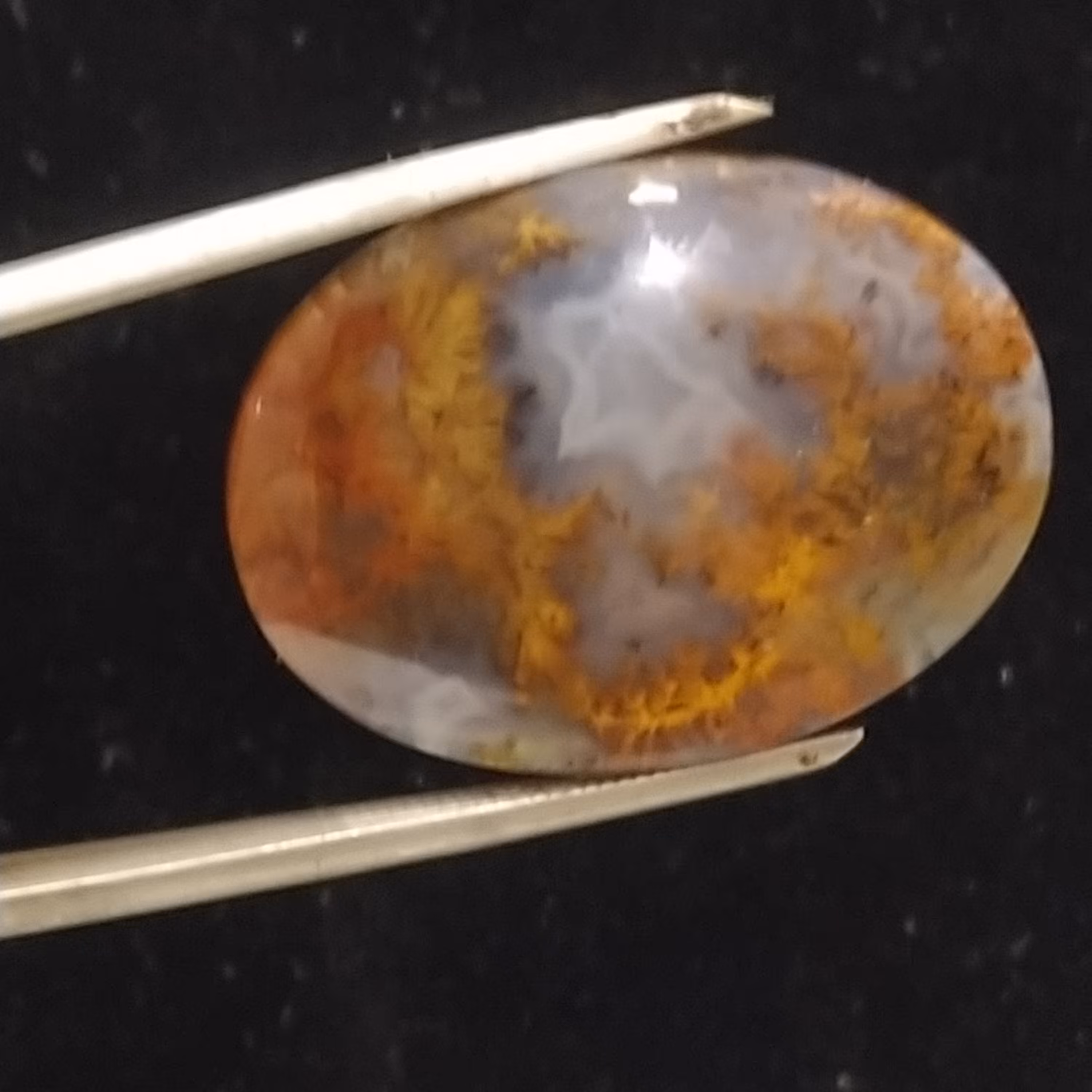 نگین عقیق شجر پاییزی، کد117