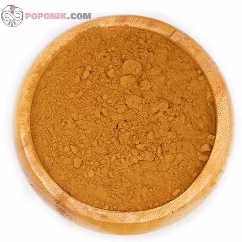 پودر عصاره ریشه شیرین بیان 100 گرمی