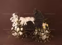 بک دراپ عکاسی کالسکه با گل های سفید و پر | گرافیک با طعم تربچه